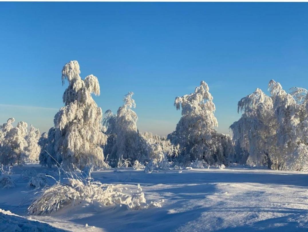フロイデンシュタットLieblingsortアパートメント エクステリア 写真