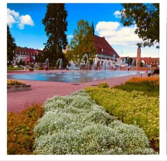 フロイデンシュタットLieblingsortアパートメント エクステリア 写真